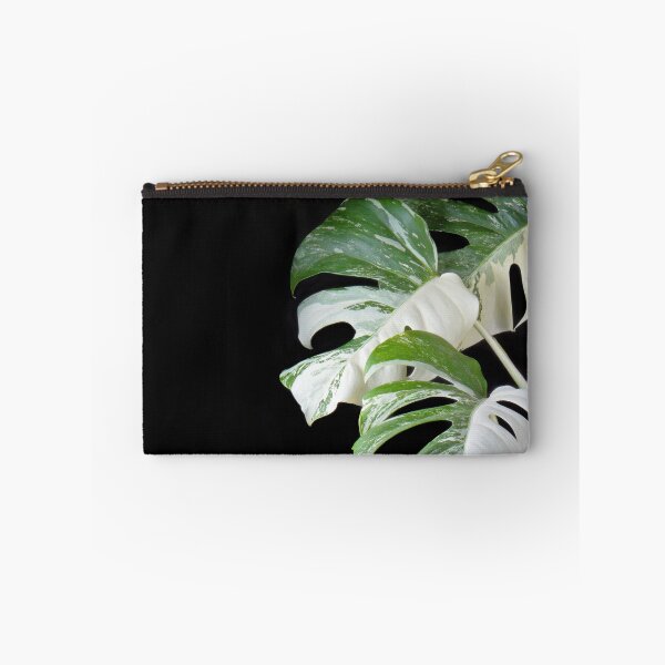 Item preview, Monstera Deliciosa Albo Variegata (Variegated Monstera) designed and sold by plantsbutbetter.
