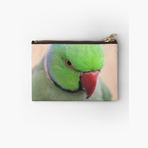Item preview, Indian Ring neck Parrot designed and sold by Chantelle Benade.