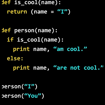 Artwork thumbnail, Cool Python Developer by DeonJerde