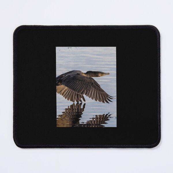 Item preview, Cormorant in Flight over Water Canvas Print 	 designed and sold by lcwvnloh55.