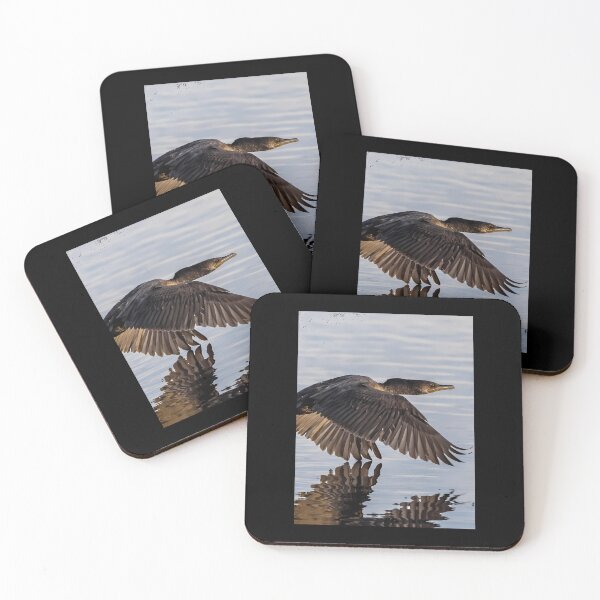 Item preview, Cormorant in Flight over Water Canvas Print 	 designed and sold by lcwvnloh55.