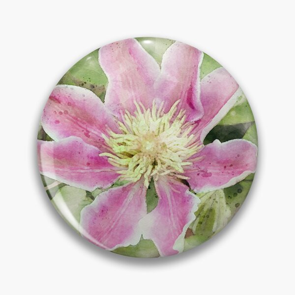 Item preview, Watercolour of pink Clematis Josephine in bloom. designed and sold by bailey-cooper.