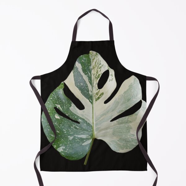 Item preview, Monstera Thai Constellation Leaf (Variegated Monstera) designed and sold by plantsbutbetter.