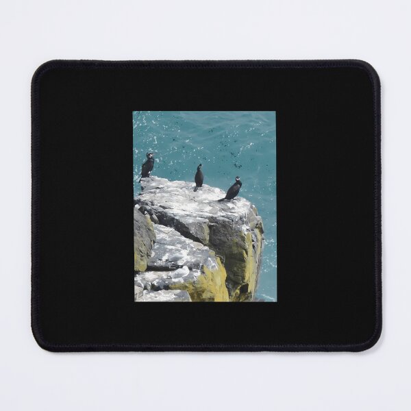 Item preview, cormorants Canvas Print designed and sold by lcwvnloh55.