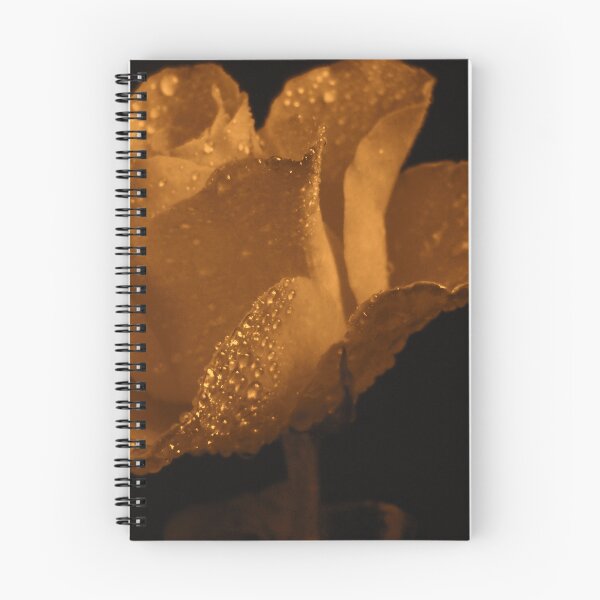 Item preview, Rose designed and sold by Vitta.