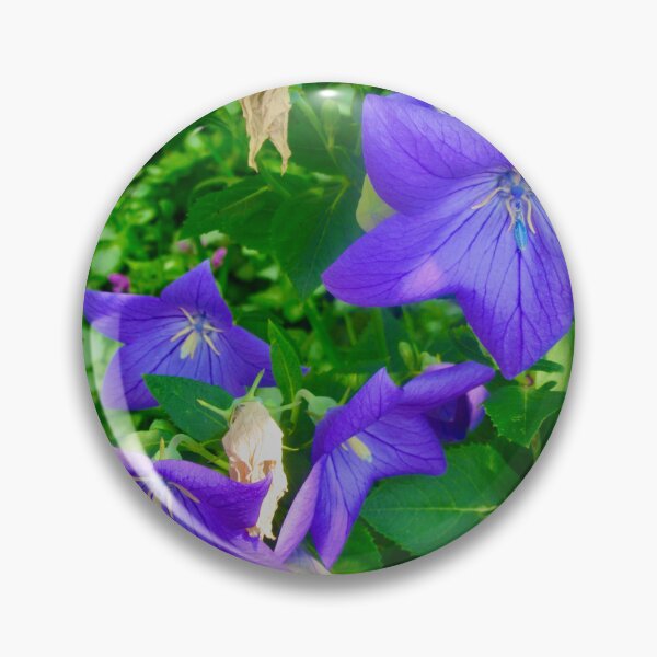 Item preview, Pretty blue flowers designed and sold by Shulie1.
