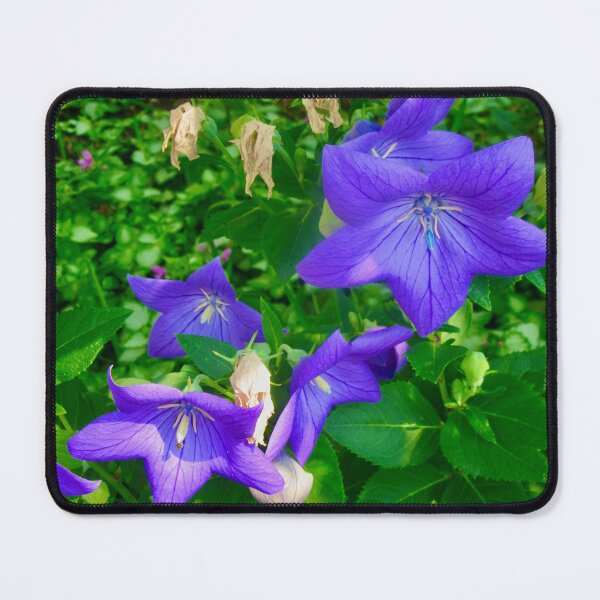 Item preview, Pretty blue flowers designed and sold by Shulie1.
