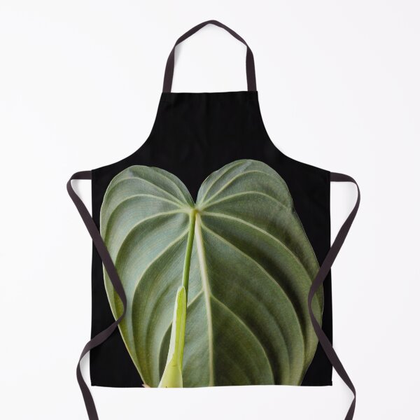 Item preview, Philodendron Melanochrysum Melano Velvet Leaf designed and sold by plantsbutbetter.