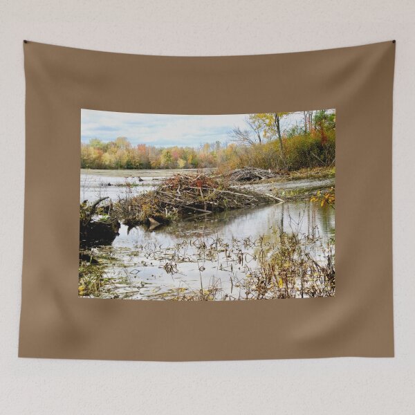 Item preview, Beaver Dam designed and sold by Shulie1.