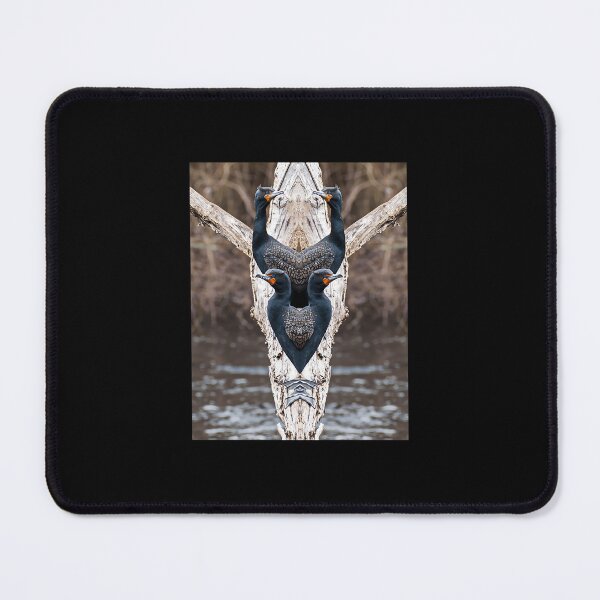 Item preview, Cormorants iPhone Case 	 designed and sold by lcwvnloh55.