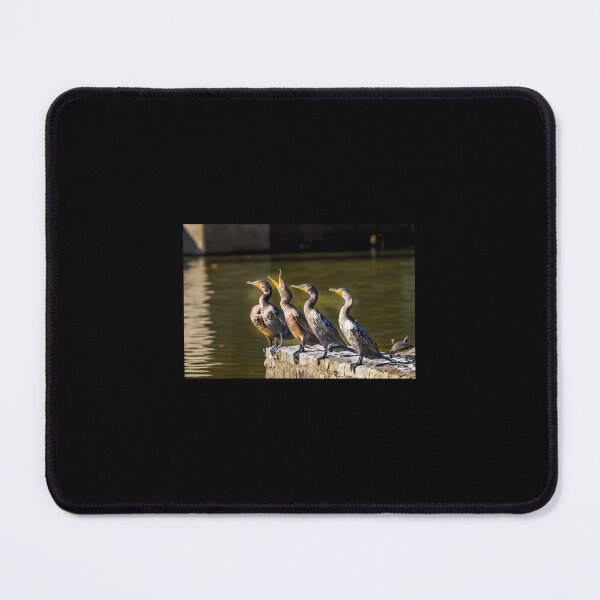 Item preview, Cormorants 2 designed and sold by lcwvnloh55.