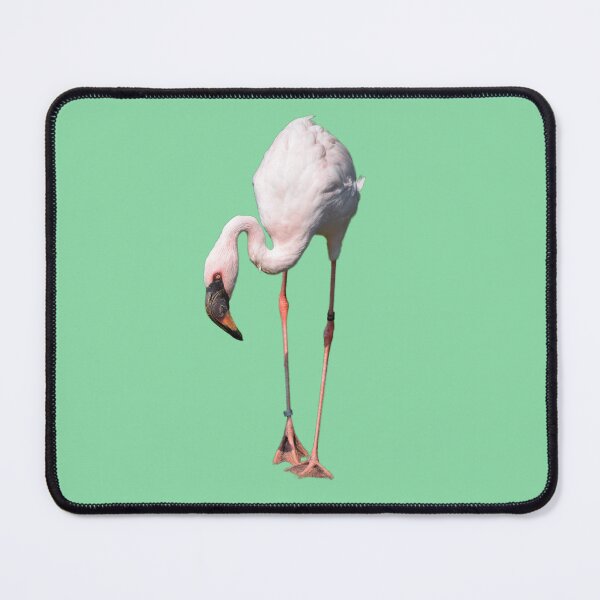 Item preview, Flamingo - Light Teal Background designed and sold by Louise-Mae.
