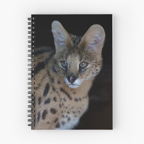 Item preview, Serval steppe designed and sold by Palikova-M.