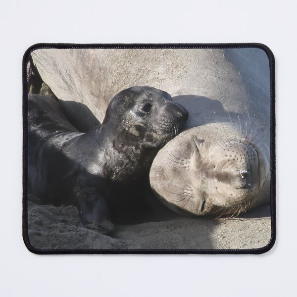 Item preview, Mama and Baby Elephant Seal Pup designed and sold by CarolM.