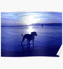 Staffordshire Bull Terrier on Beach in Blue, Pop Art Print Poster