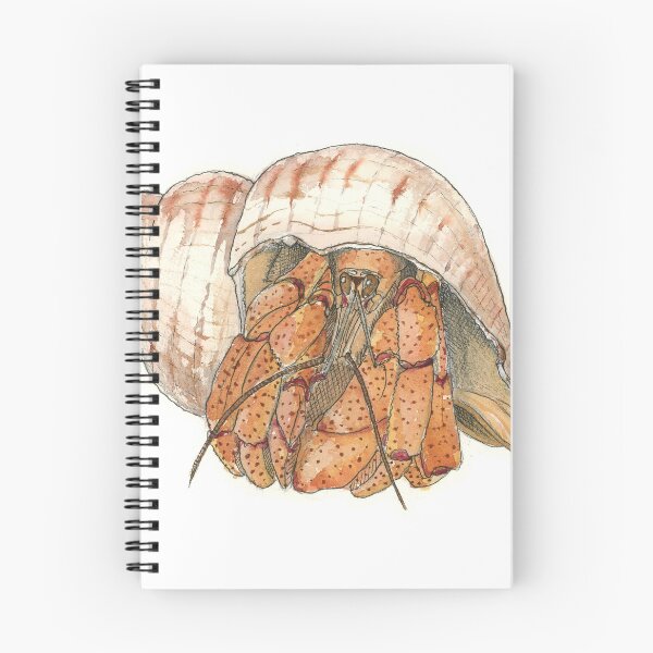 Item preview, Cangrejo ermitaño (Pagurus bernhardus) designed and sold by Isabel Cayer.