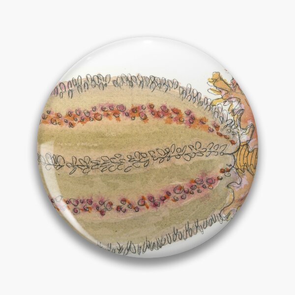 Item preview, Sea cucumber (Cucumaria frondosa) designed and sold by Isabel Cayer.