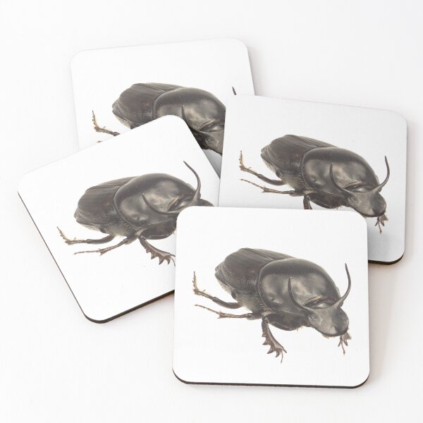 Aperçu de l'œuvre Bousier - Onthophagus taurus grand mâle créée et vendue par EricaNad.