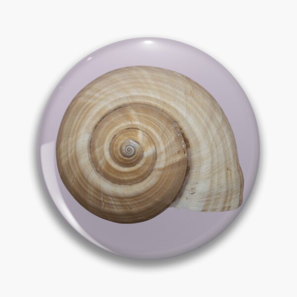 Item preview, Shell Spiral designed and sold by ellanely.