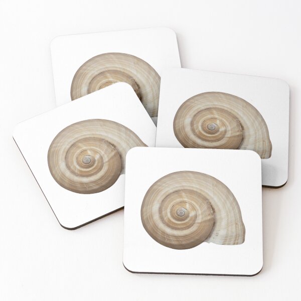 Item preview, Shell Spiral designed and sold by ellanely.