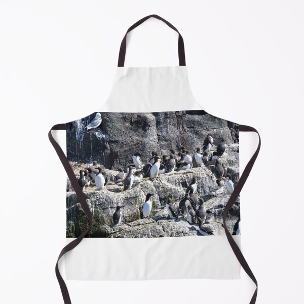 Artikelvorschau, Guillemot Rock – Farne-Inseln, Northumberland entworfen und verkauft von Richard Flint.