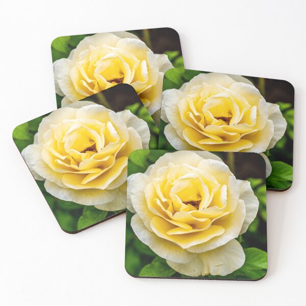 Item preview, Yellow Rose designed and sold by barkeypf.