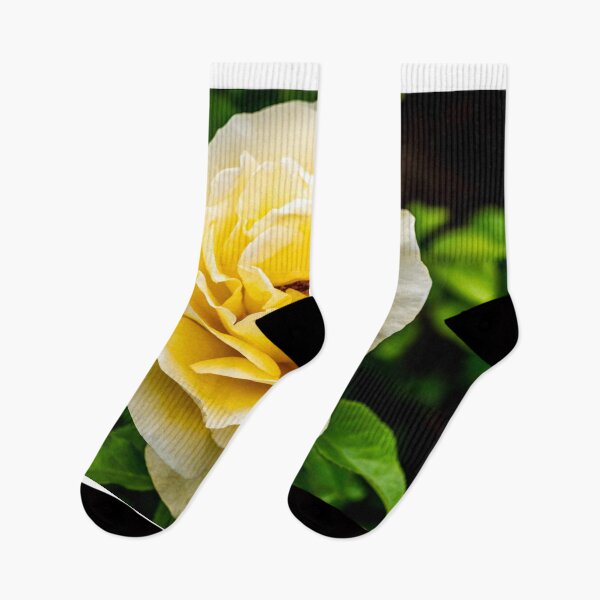 Item preview, Yellow Rose designed and sold by barkeypf.