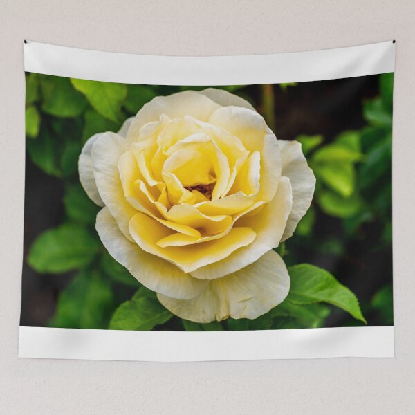 Item preview, Yellow Rose designed and sold by barkeypf.