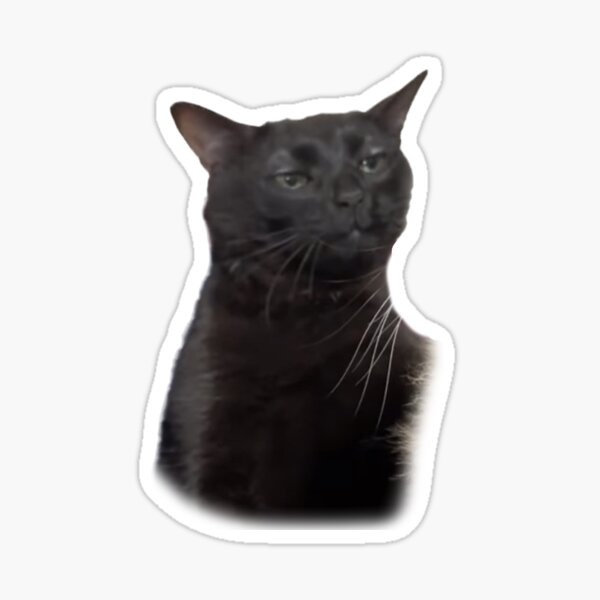 "Black Cat Zoning Out Staring Meme " Sticker for Sale by JazzyClothing