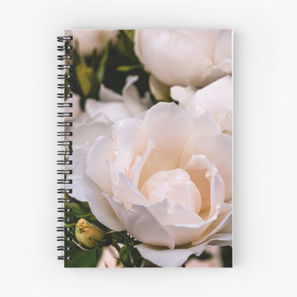 Item preview, Rose In Vanilla Peach designed and sold by barkeypf.
