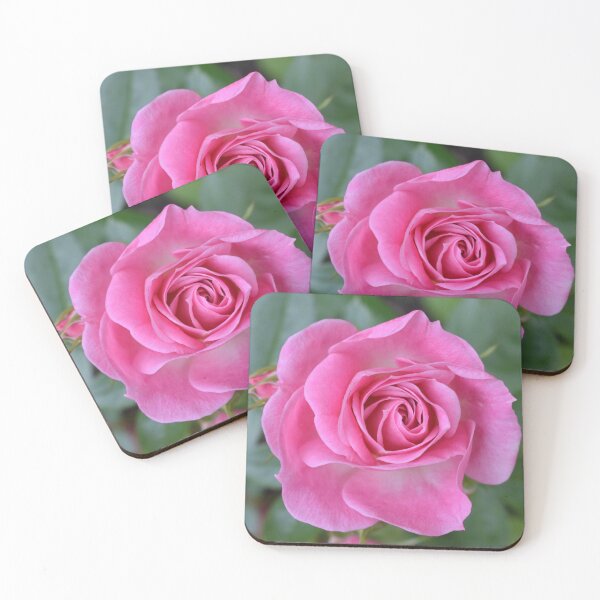 Item preview, English Rose designed and sold by PinkMoonPics.
