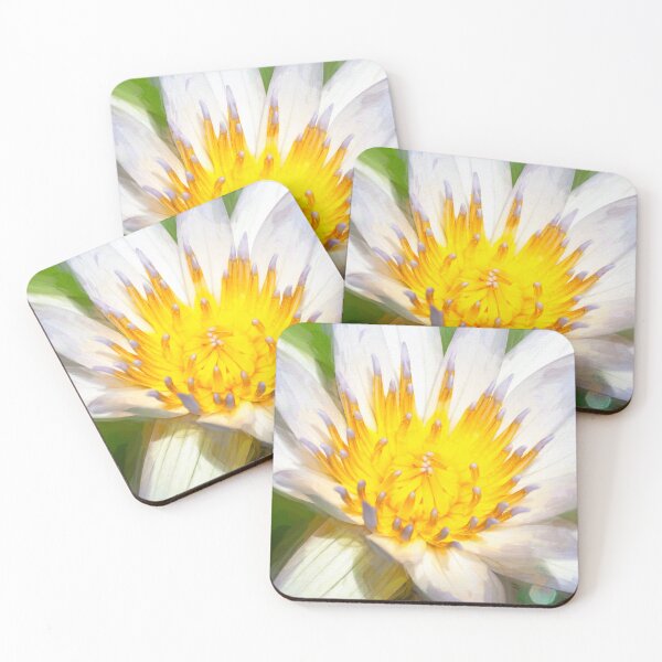 Item preview, White Water Lily Nymphaeaceae  X100 designed and sold by RichFrancoCars.