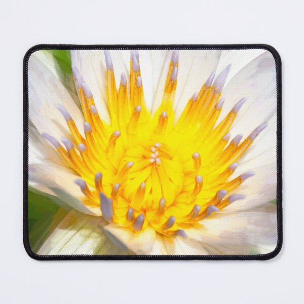 Item preview, White Water Lily Nymphaeaceae  X100 designed and sold by RichFrancoCars.