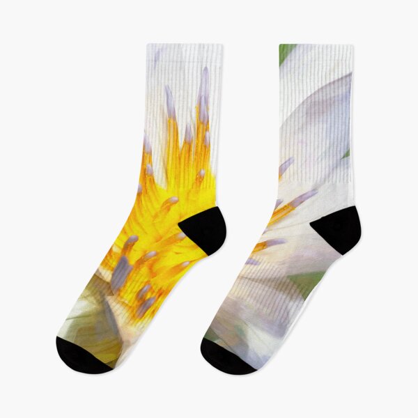 Item preview, White Water Lily Nymphaeaceae  X100 designed and sold by RichFrancoCars.