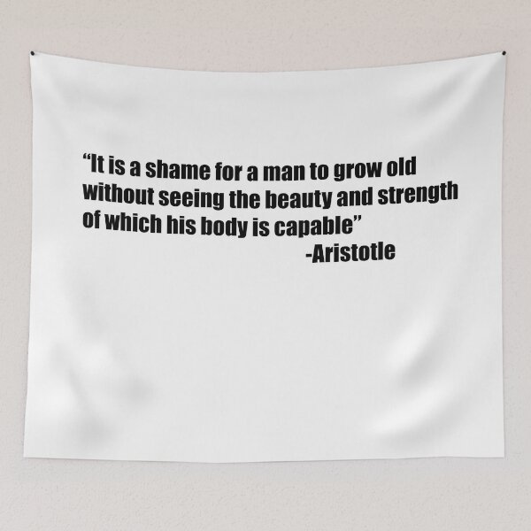 Item preview, Aristotle Gymbro designed and sold by UriSM.