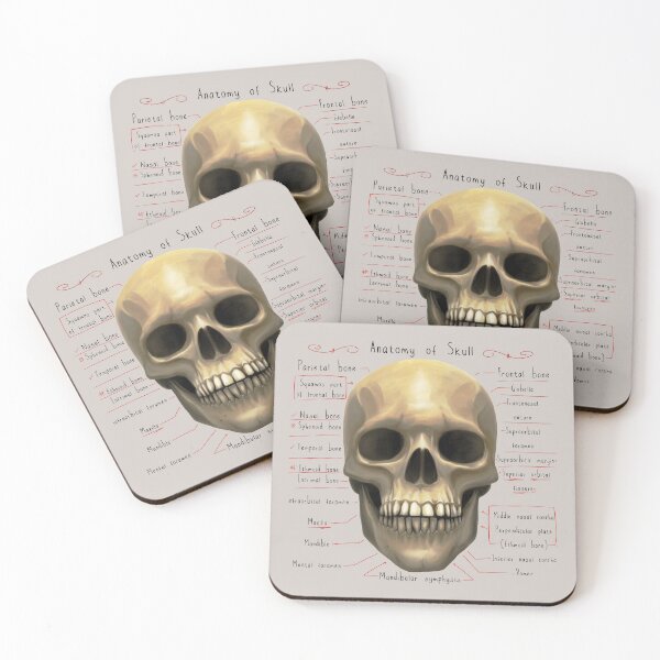 Item preview, anatomy lesson (skull) designed and sold by hayrpictures.