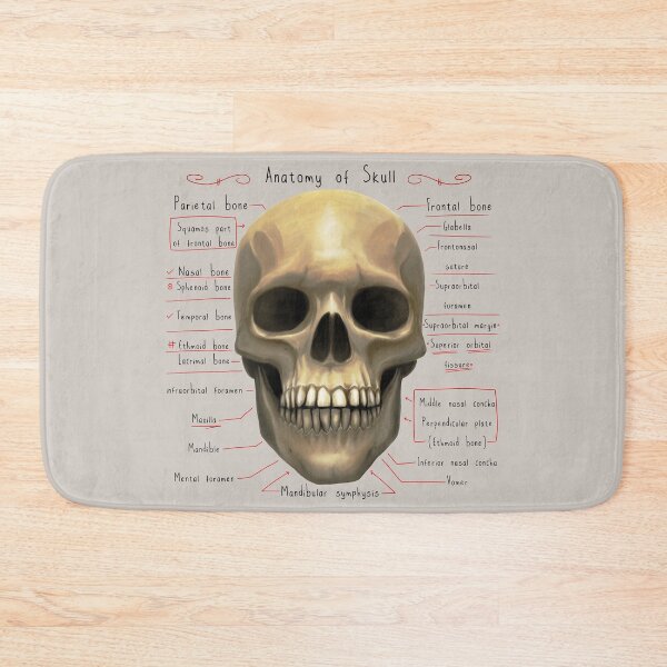 Item preview, anatomy lesson (skull) designed and sold by hayrpictures.
