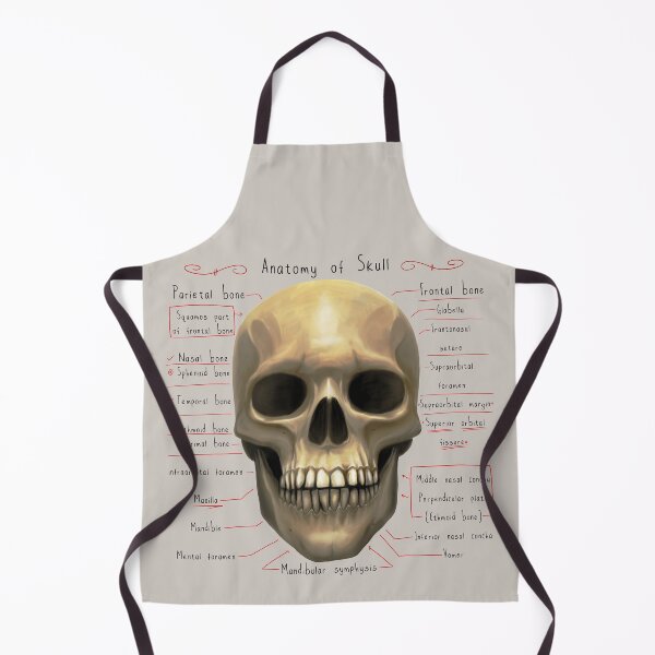Item preview, anatomy lesson (skull) designed and sold by hayrpictures.