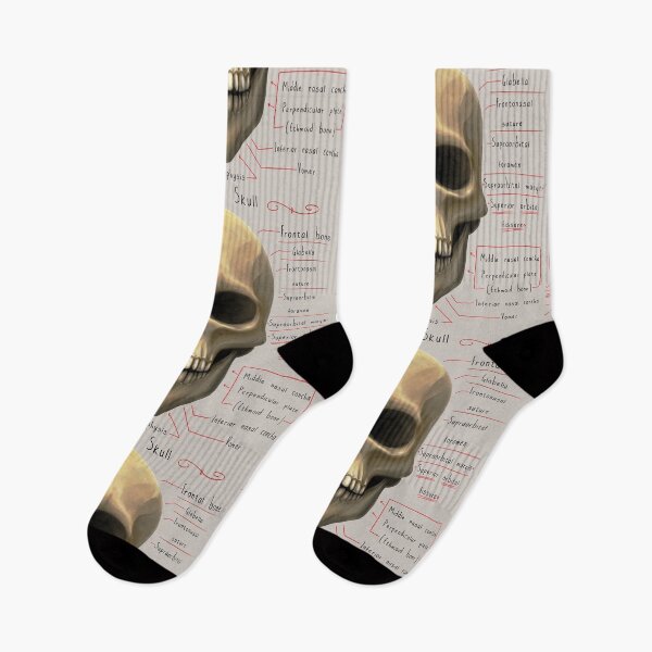 Item preview, anatomy lesson (skull) designed and sold by hayrpictures.