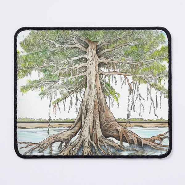 Item preview, Bald cypress drawing designed and sold by ComicsFactory.