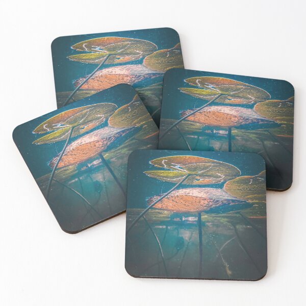 Item preview, Underwater 1 designed and sold by Nicole Rinckey.