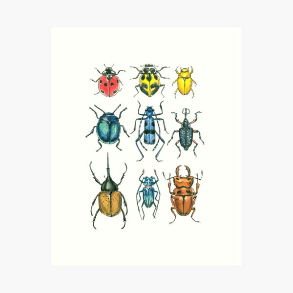 Item preview, Beetles designed and sold by Katerina Mitkova Kirilova.