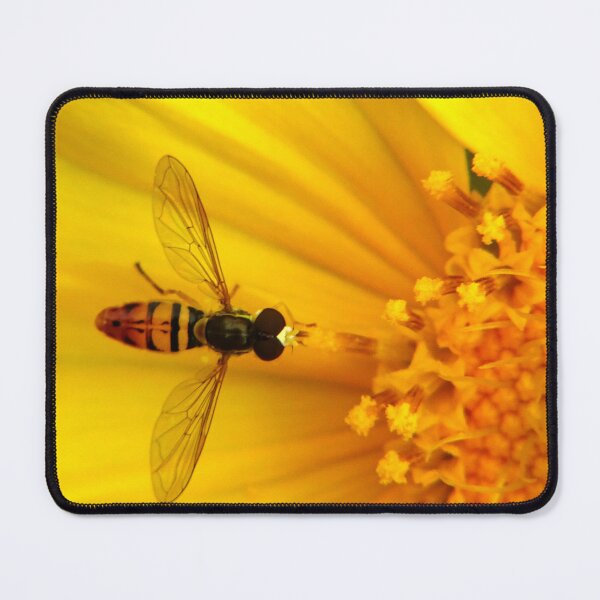 Item preview, Calligrapher Fly designed and sold by Tippitiwichet.
