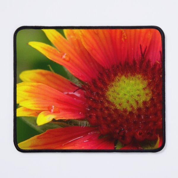 Item preview, Firewheel designed and sold by Tippitiwichet.