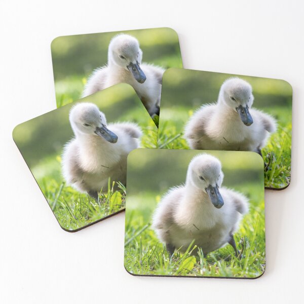 Item preview, Mute Swan Cygnet designed and sold by TravellingSimon.
