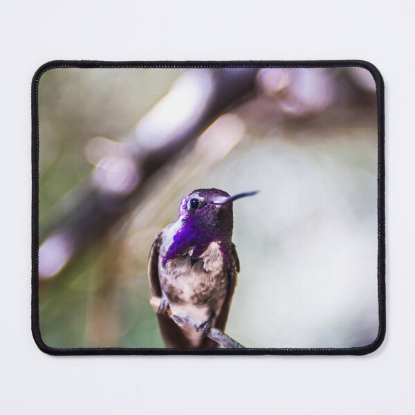 Item preview, Hummingbrid designed and sold by madtrollhunter.