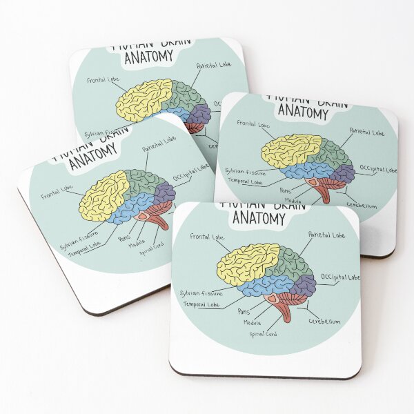Item preview, Brain Anatomy Doodle designed and sold by Maddie Broad.