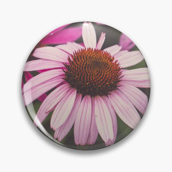 Item preview, Subtle Shades of Pink designed and sold by KEnzPhotography.