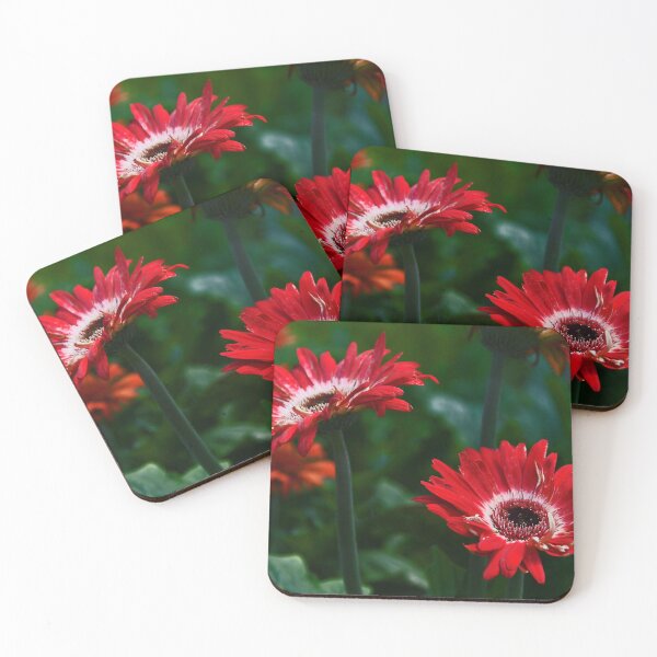 Item preview, Gerbera Daises (2 tones) designed and sold by Poete100.