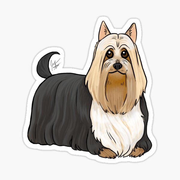 Item preview, Silky Terrier - Black and Tan designed and sold by Jennifer Stolzer.